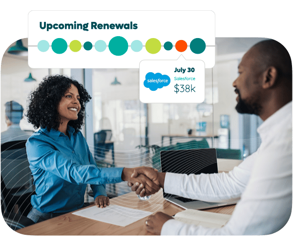 negotiate SaaS savings at renewal