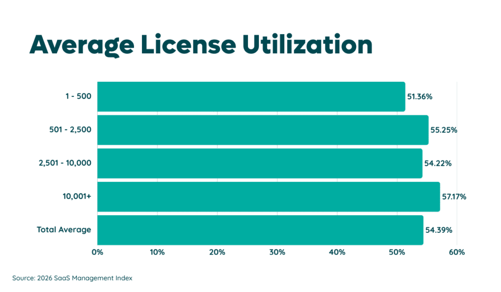 Application Utilization 2024