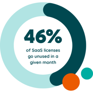 saas license usage stat