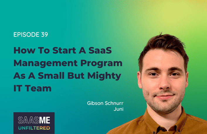 SaaS Management Small IT Team